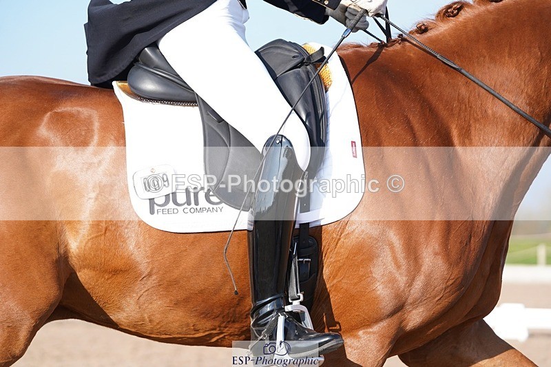 250403-085706-00096 - 009-Sarah.Stewart-Djoe.Dimaggio