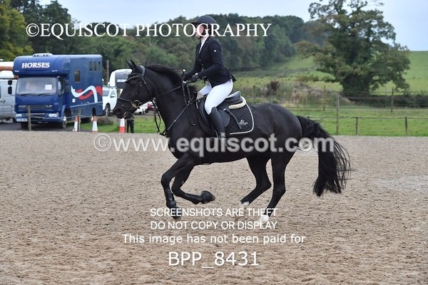 BPP_8431 - CLASS 3 Pony BritiNovice / 0.80m Open