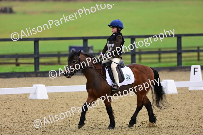 20260125-0507 - Class 9b - Walk Trot Unassisted