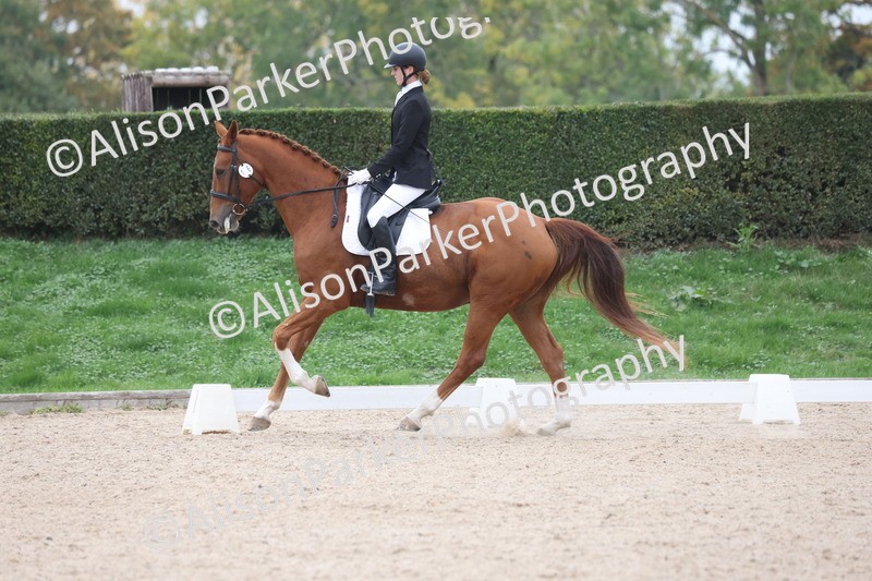 20251011-0578 - Class 4 - Novice 2