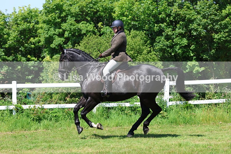 3E7A7261 - Class 30: Novice Working Hunter