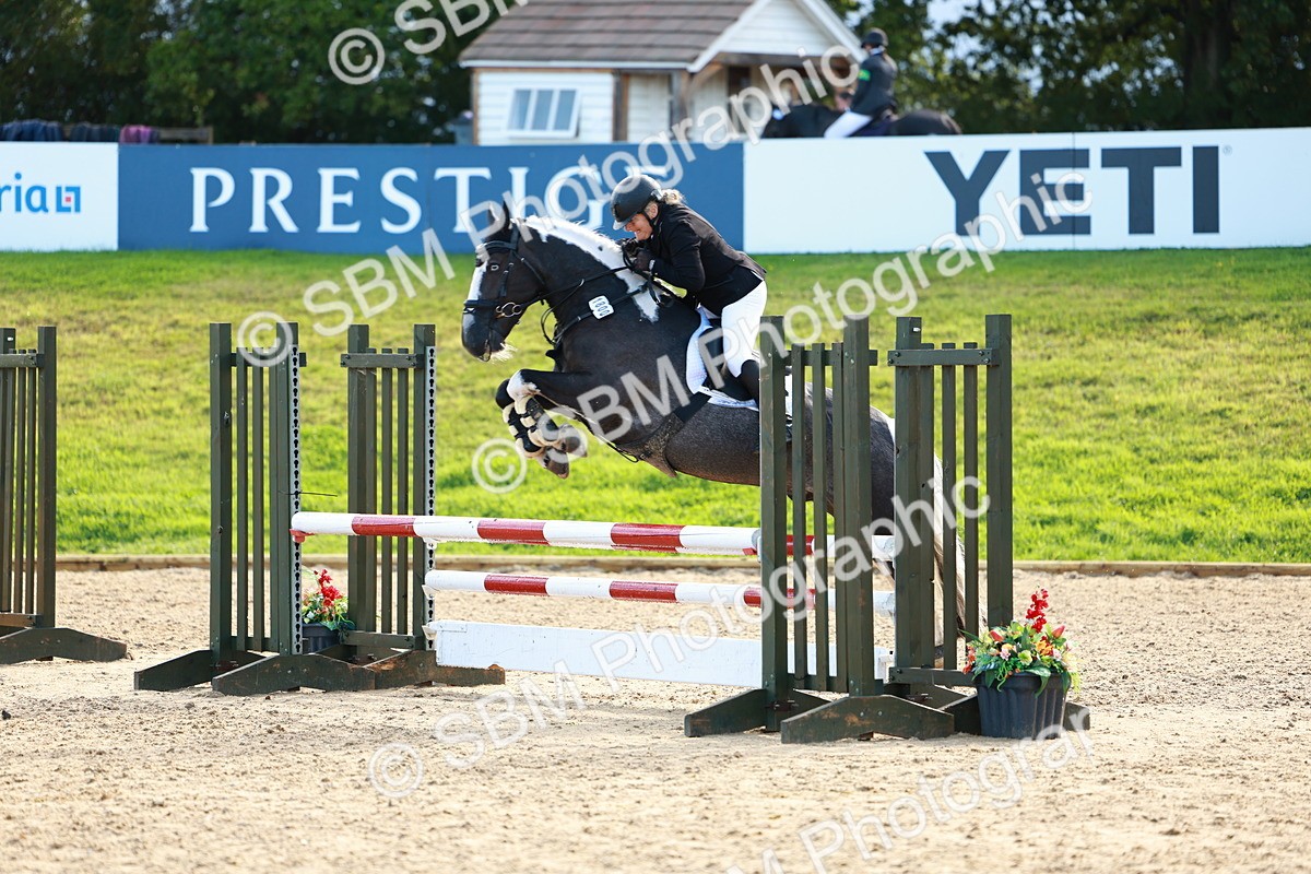 SBM_37816 - J39 - Senior Horse & Pony 85cm Championship