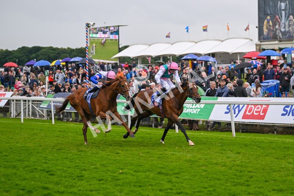 150624-Race 3-Klondike-7103 - Race 3 3.00pm Sky Bet Race To The Ebor Grand Cup Stakes