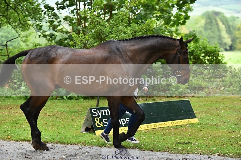 240522-155504-00586 - 165-RIDIRE_DORCHA-Lucy_Stimson