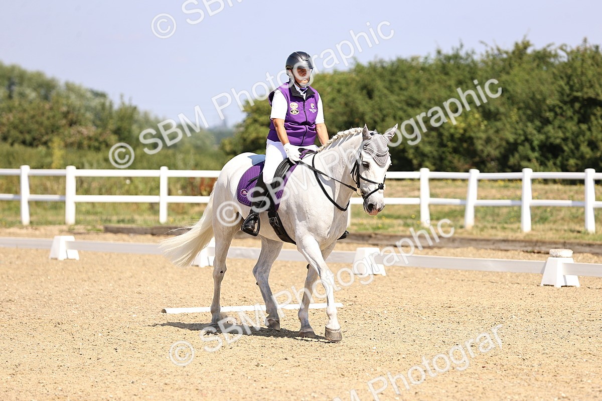 SBM_003562 - Intro 2