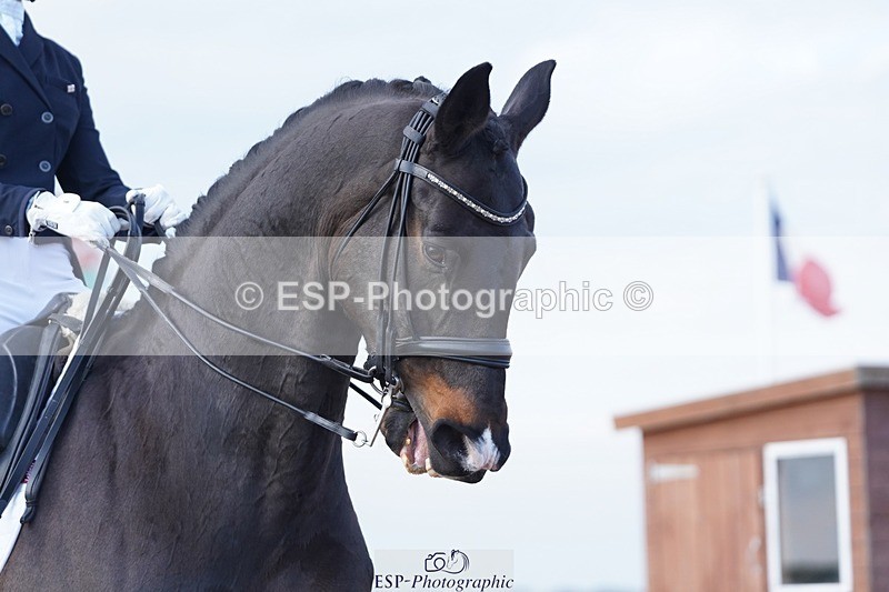 250403-091934-00136 - 015-Daisy.Hills-Midtgaards.Gijon