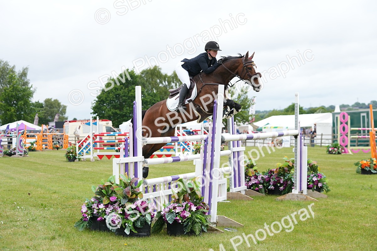 SBM_03150 - Class 201 - British Horse Feeds Speedi Beet Horse of the Year Show Grade  C