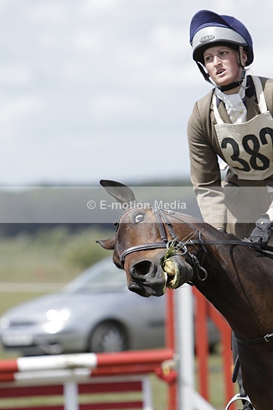 BVHT 140517 N-343 - Class 2 SJ Novice 14/05/17