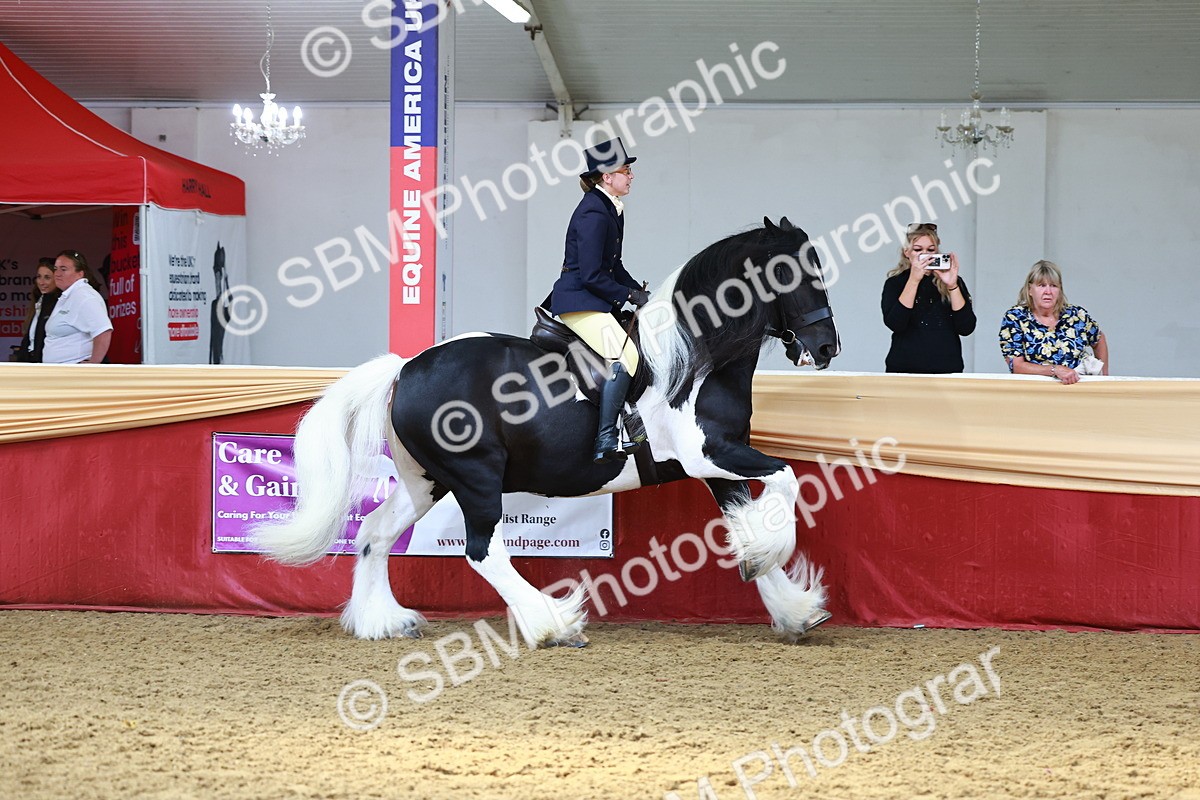 SBM_23332 - class 906 - Supreme Final - Ridden Pre Vet
