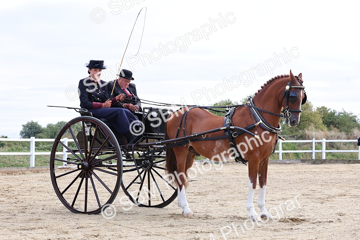 SBM_000466 - Class 4 - Junior Whip