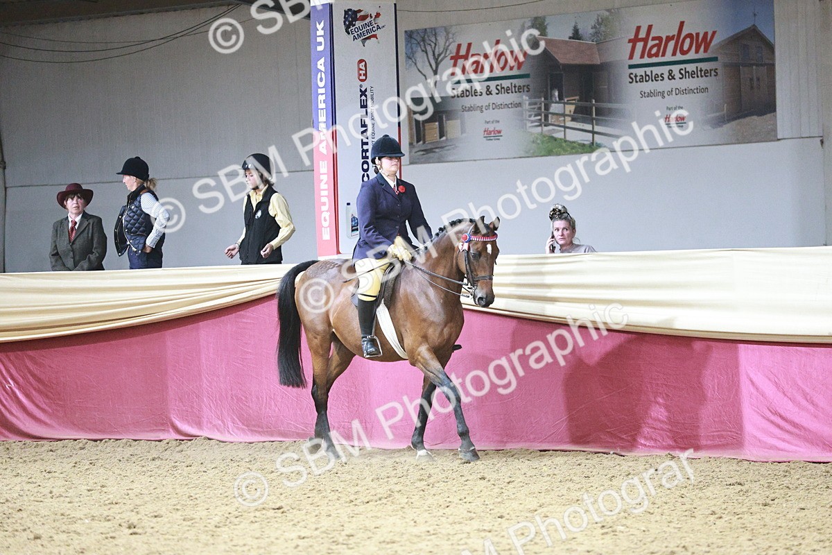 SBM_08004 - Class 11R - Regional Ridden Veteran