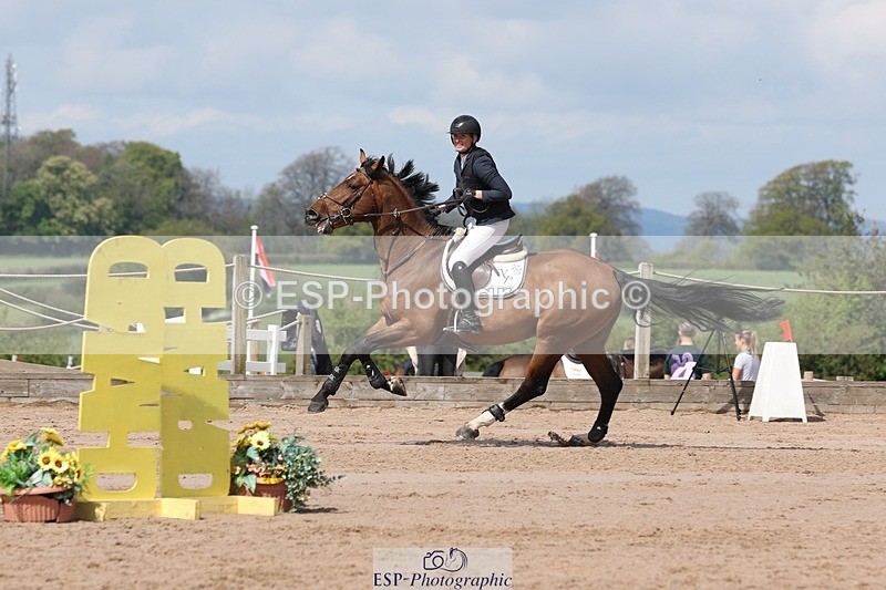 250427-113802-16022 - Cls 36 Young Horse 7yr old