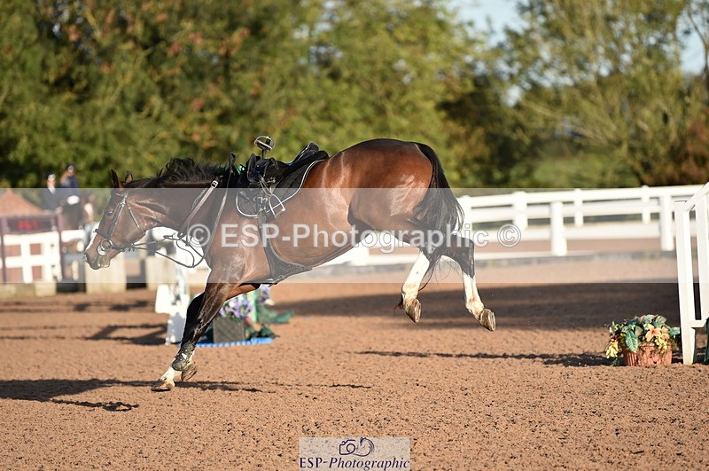 231015A-090706-06623 - Cls 22 British Novice & 90cm Open