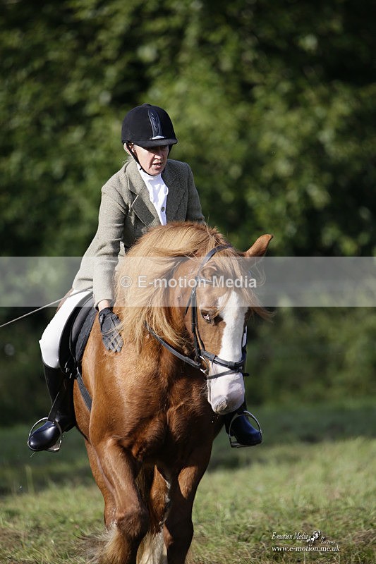 BVRC 120921 52 - Bourne Valley Riding Club UA Dressage & Show Jumping 12/09/21