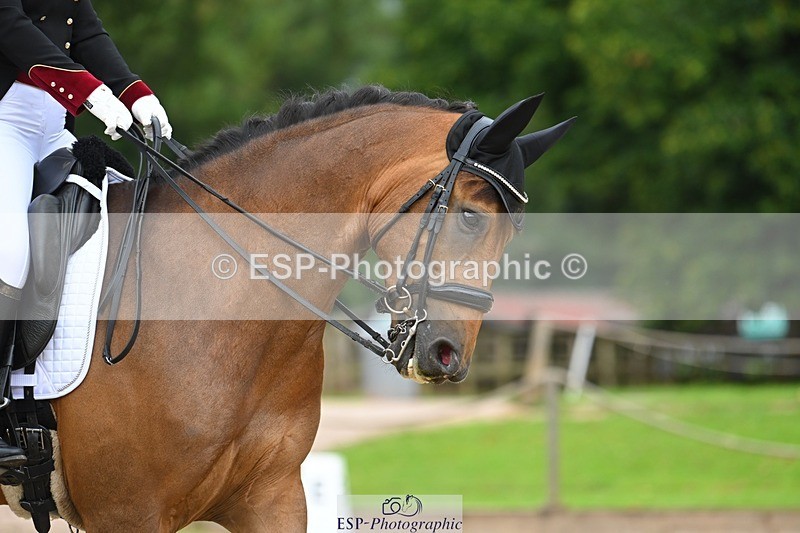 230813-084824-05694 - Cls 12 Elem Silver Start to 10.10 break