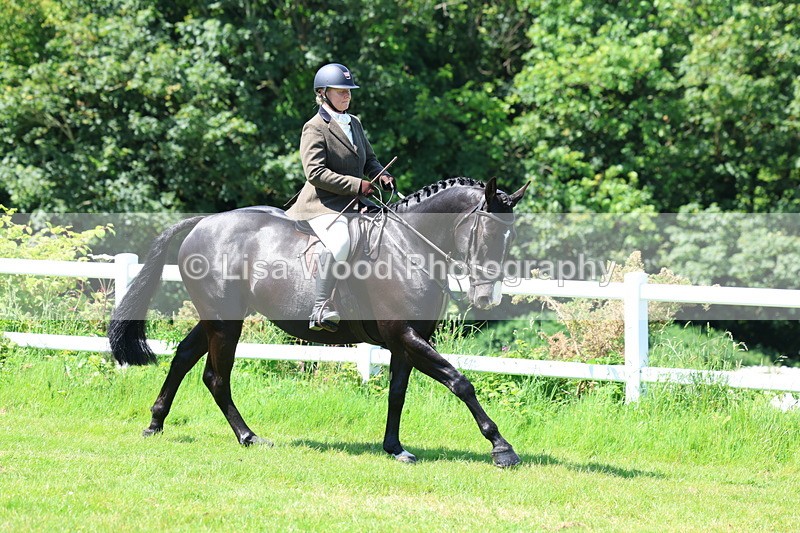 3E7A7176 - Class 30: Novice Working Hunter