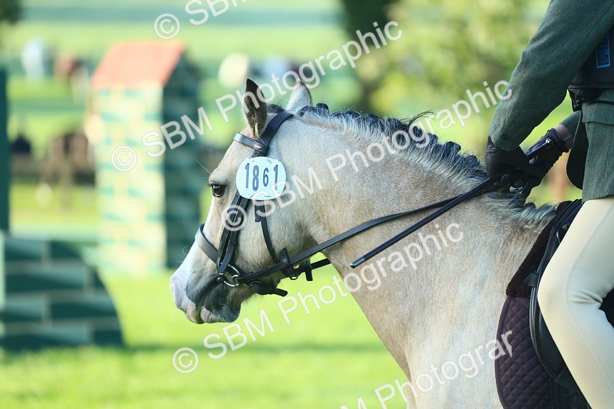 SBM_31851 - S28 - Nursery Stakes Working Hunter Pony