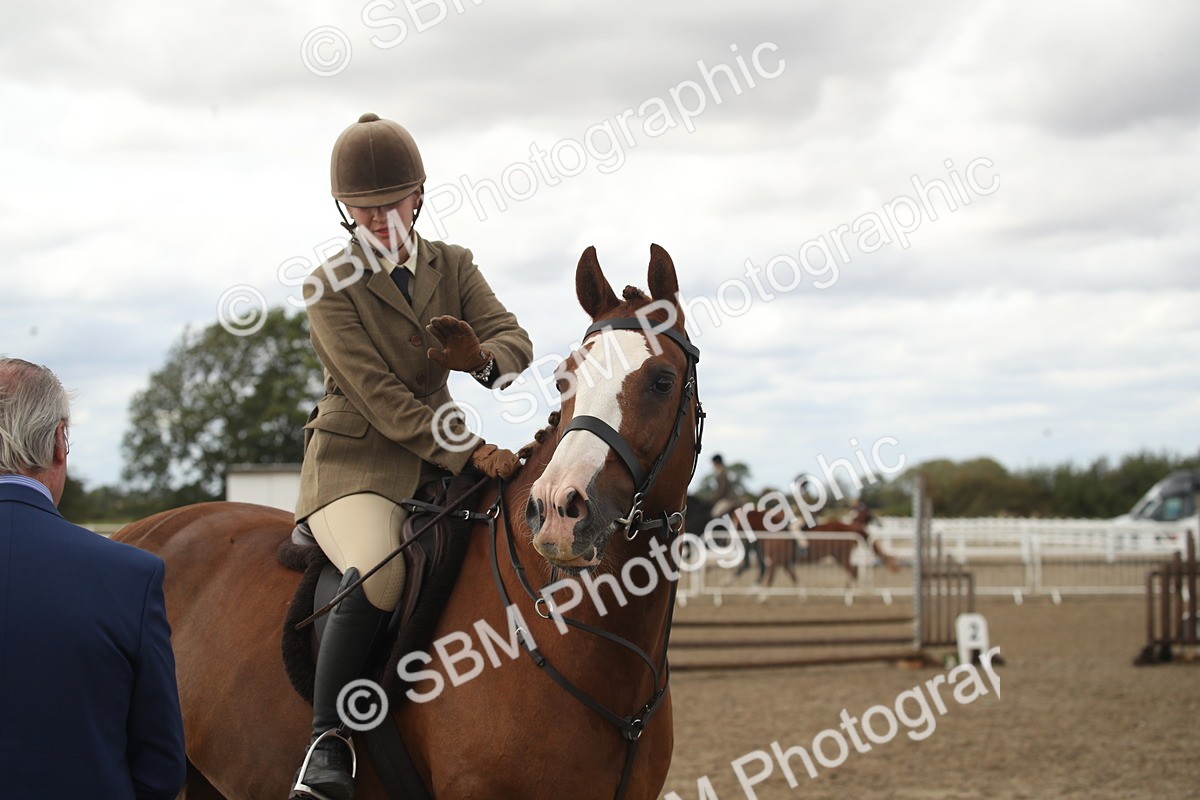 SBM_17736 - Class 508a - Working Veteran 70cm (15-19)