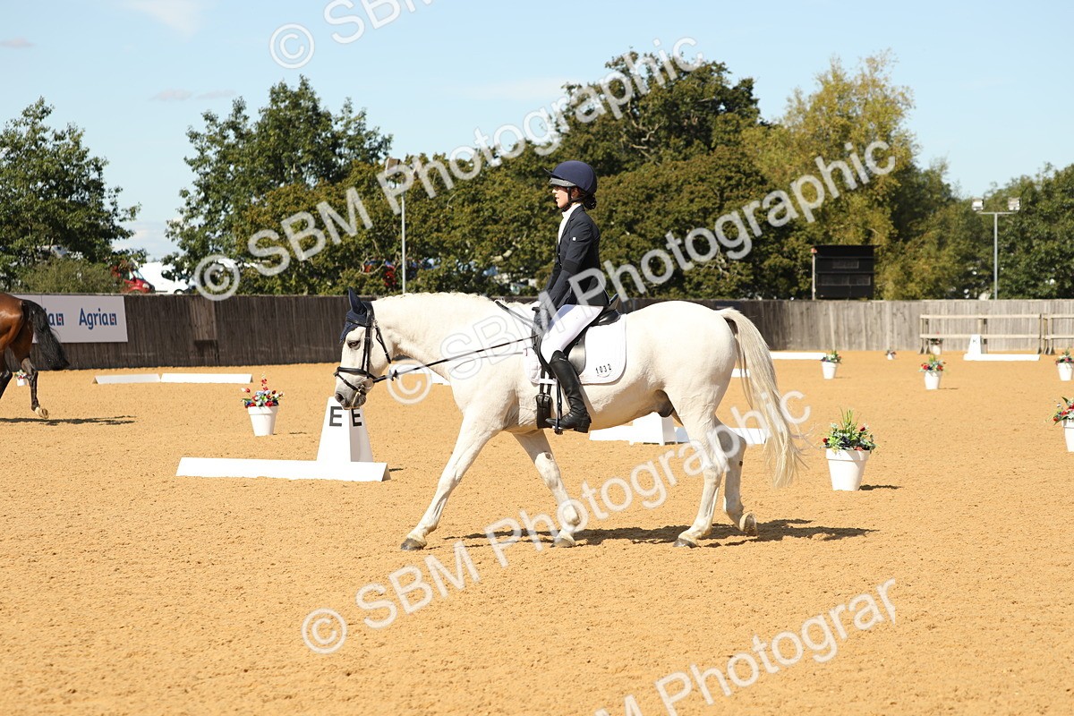 SBM_22369 - D17 - Grand Tour Championship - Novice 27