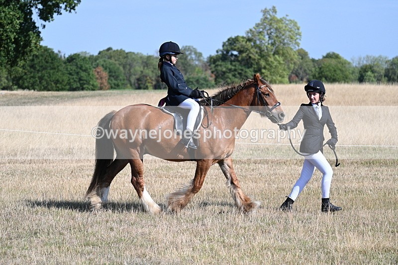 WJ7_2993 - Class 8 Ridden Tack & Turnout