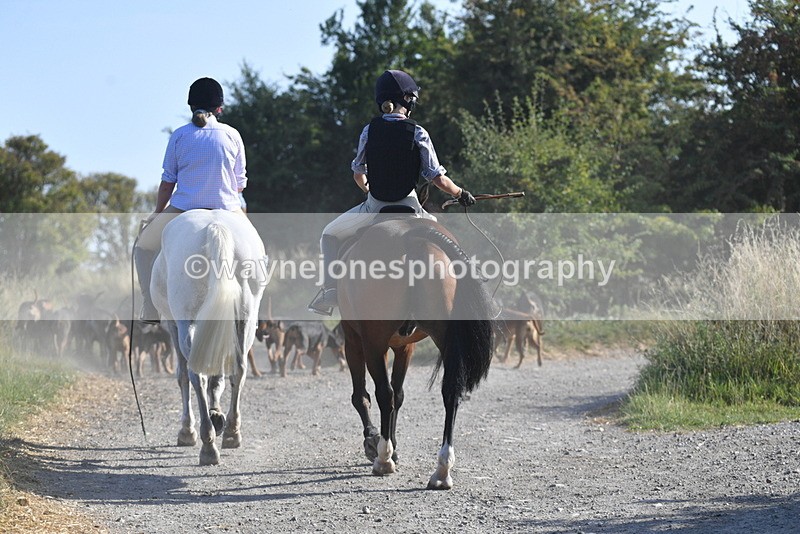 WJ5_4829 - Walk out with the hounds