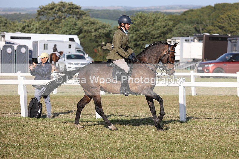 JPP_3287 - Class 21: Working Hunter 80cm