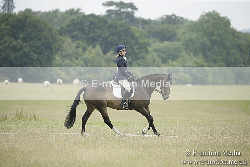 B230619-0896 - Bourne Valley Riding Club Summer Show 23/06/19
