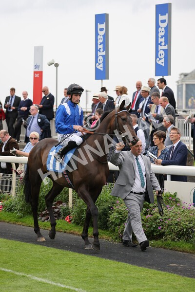 yr19082021r3-15 - Race 3 3.00pm Clipper Logistics Stakes