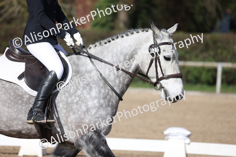 20260228-0468 - Class 4 - Prelim 2