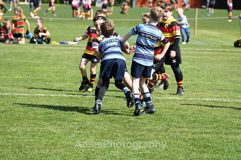  - Selby Rugby Festival 2025