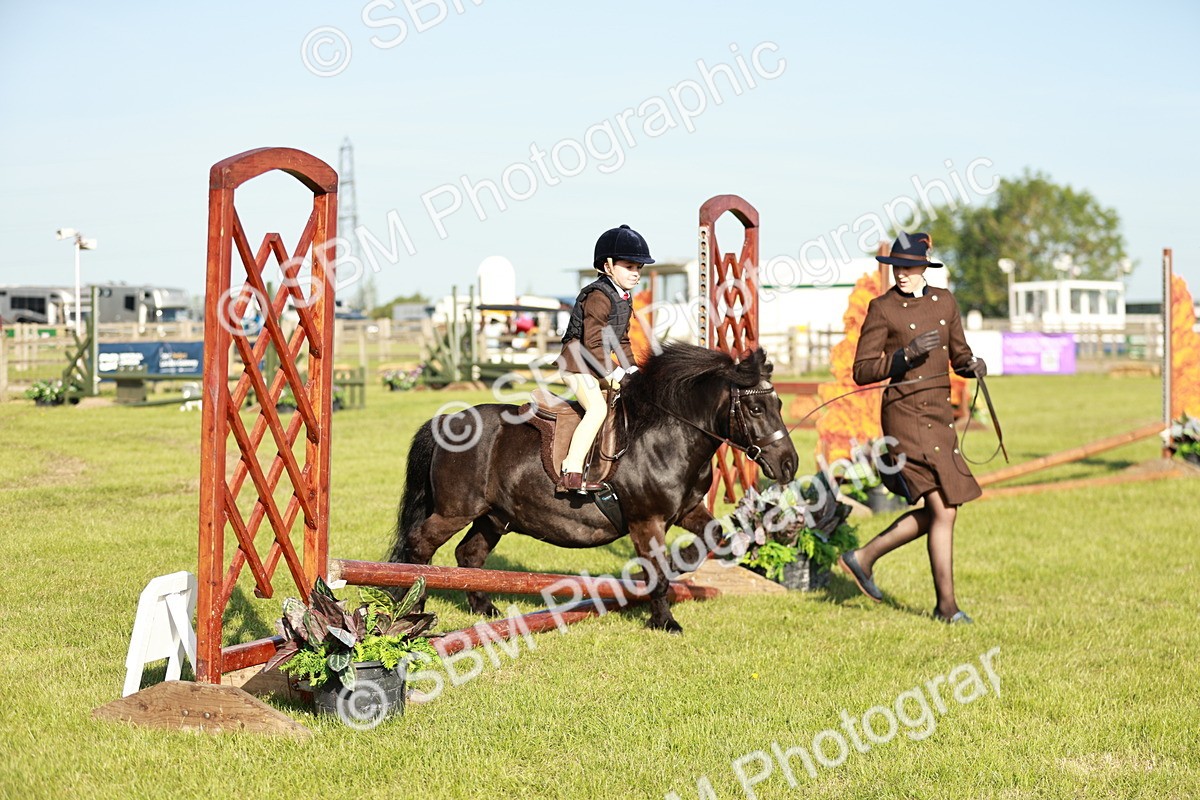 SBM_11077 - Class 106-107 - BSPS LIHS Working Sports Pony