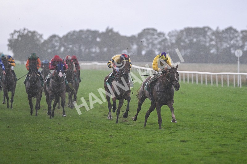 150925-Race 6-Day Of Grace-3130 - Race 6