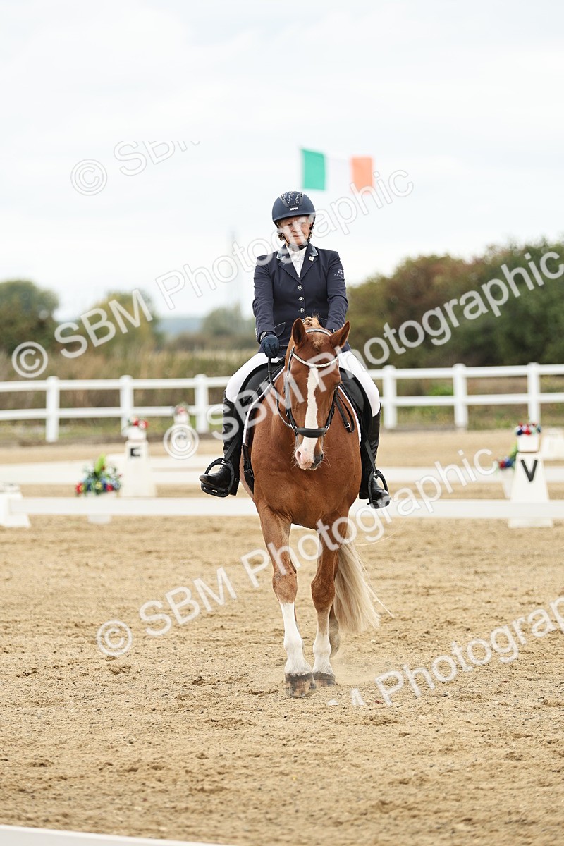 SBM_006634 - Class 21 - Medium 5 Bronze - 9.08-9.48