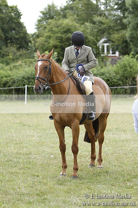 BVR160717-1863 - Ring 3 BVRC Show 16/07/17