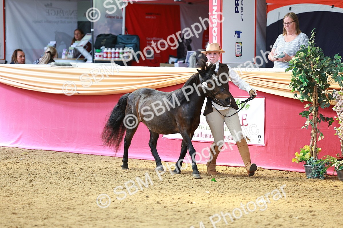 SBM_02286