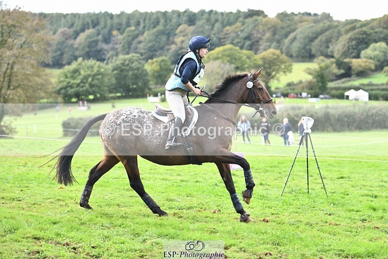 231021-150001-19837 - 482-ODDSPOT.VITAL.ELEMENT-Danielle.Davies-SC+XC