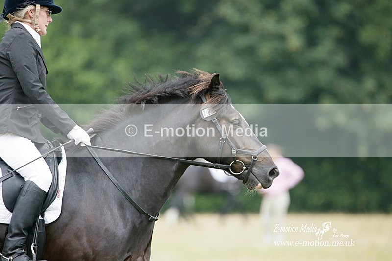 BVRC 030721 48 - Bourne Valley Riding Club Dressage 03/07/21