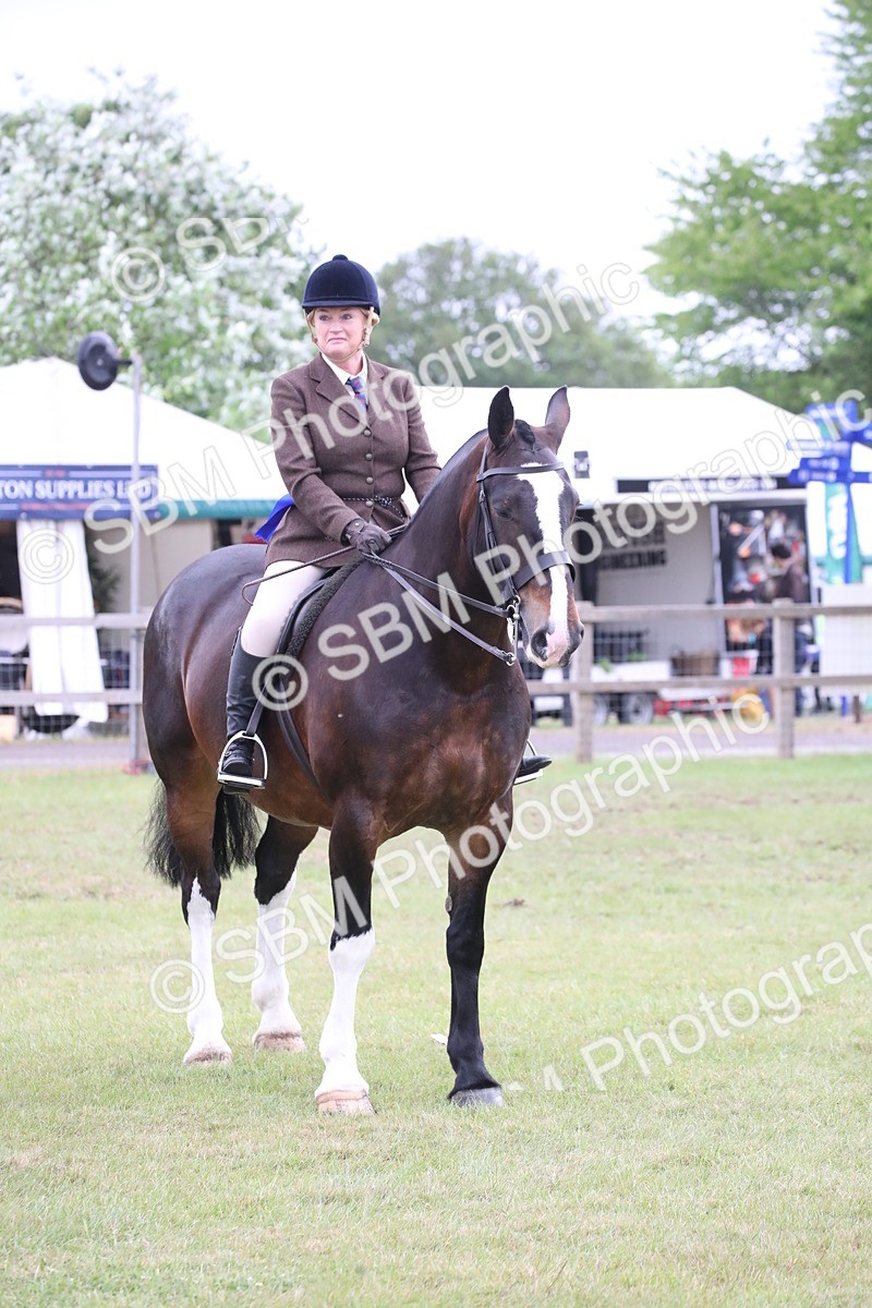 SBM_11351 - Class 92-93 - LIHS BSHA Rising Star Cobs