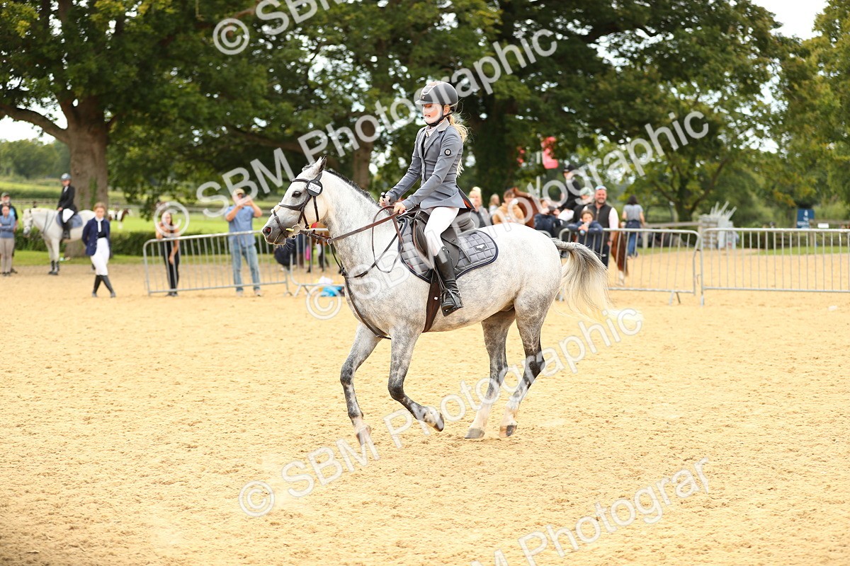 SBM_71365 - J18 - Junior Pony 85cm Championship