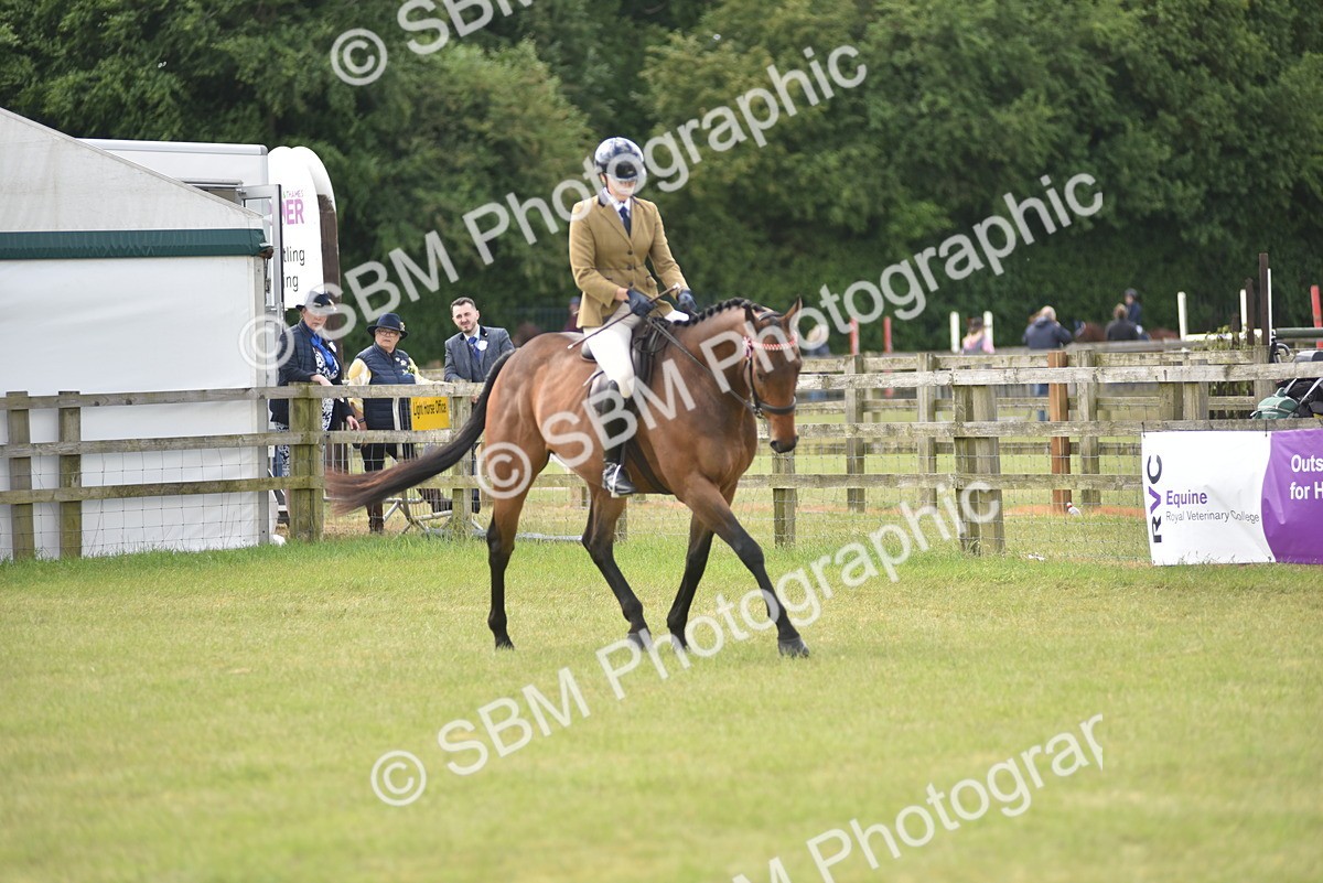 SBM_15098 - Class 113-114 - Retraining of Racehorses Ridden