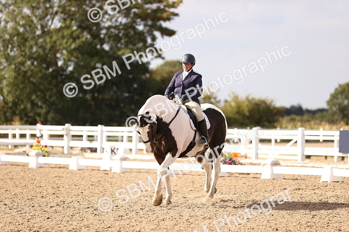 SBM_08104 - Class 39 Medium 3