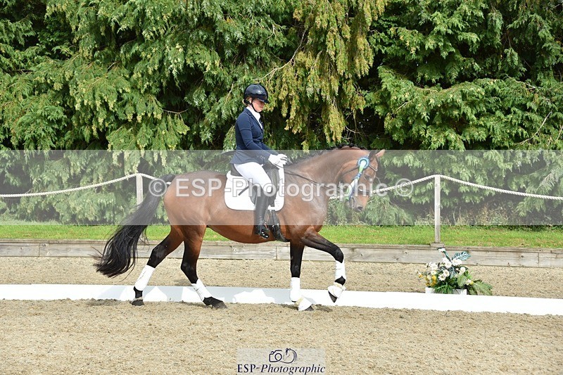 230812-160858-05414 - Novice Bronze Presentations