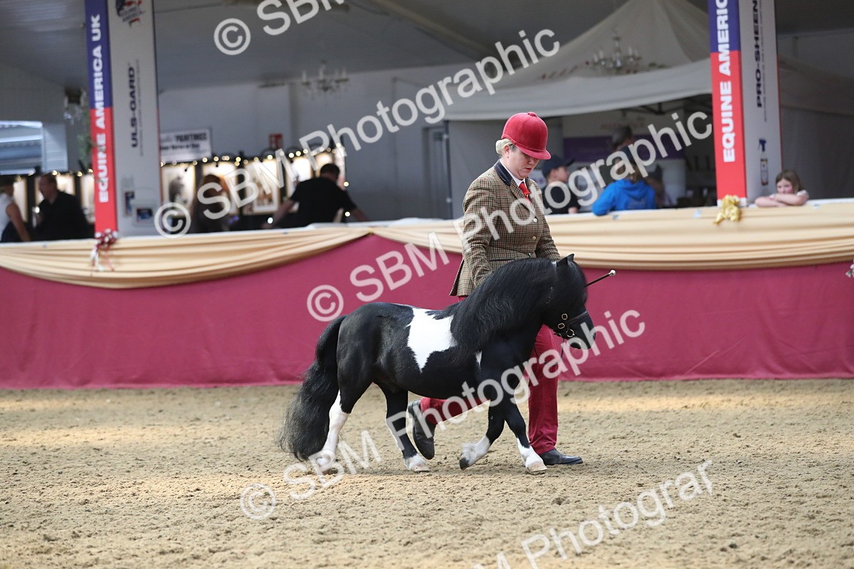 SBM_15122 - Class 501 M&M IH Supreme Final