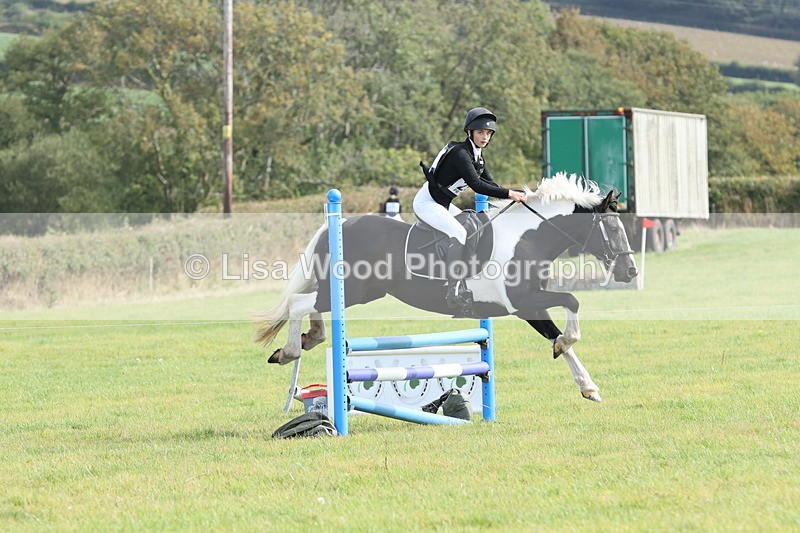 JPP_8620 - Class 2: Trekenning: 80cm Showjumping