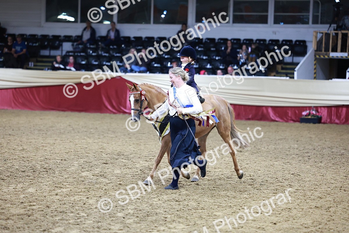 SBM_20607 - Class H - IH Competition - Riding Club champ