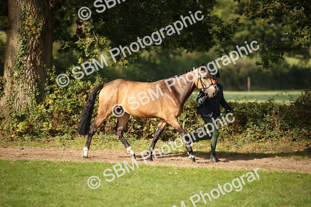 SBM_60081 - S53 - Hunter In Hand