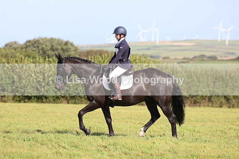 3E7A6369 - Class 2A: Trekenning Open: Dressage