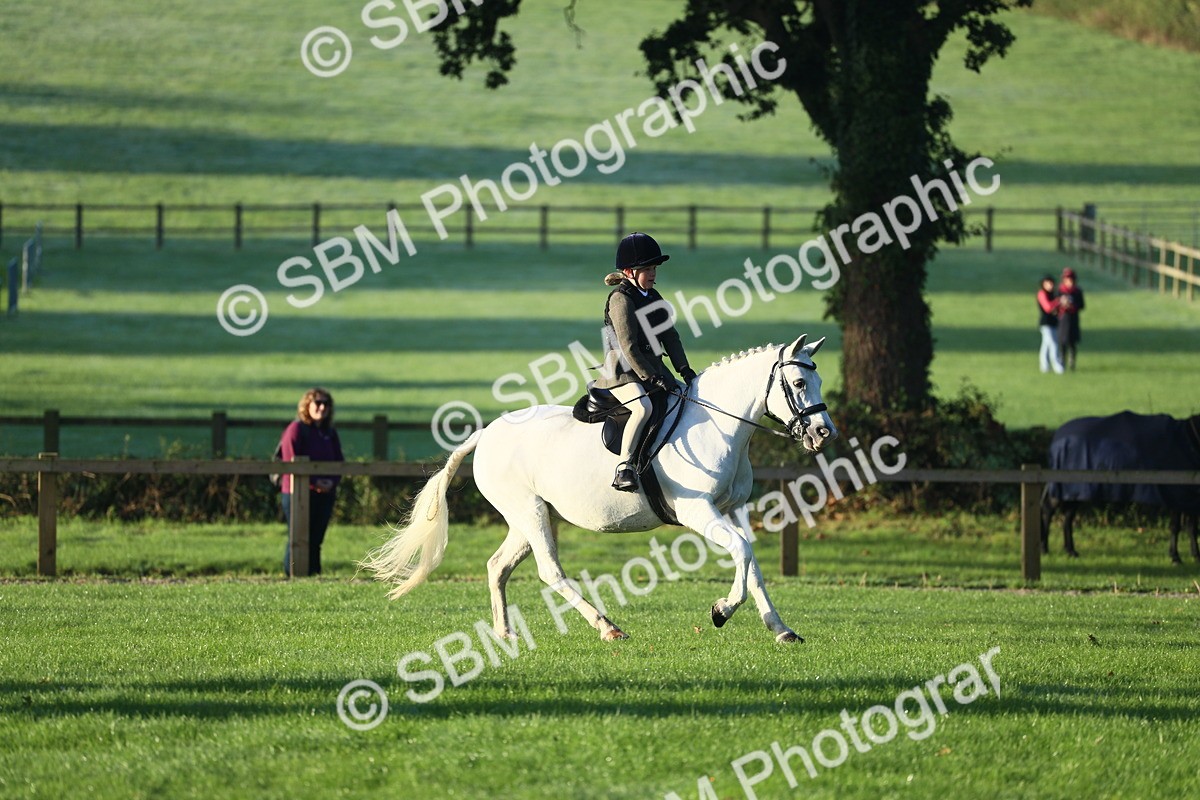 SBM_31698 - S28 - Nursery Stakes Working Hunter Pony