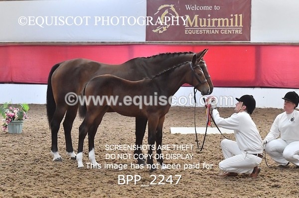 BPP_2247 - AFTERNOON 12.30 - 3.30PM