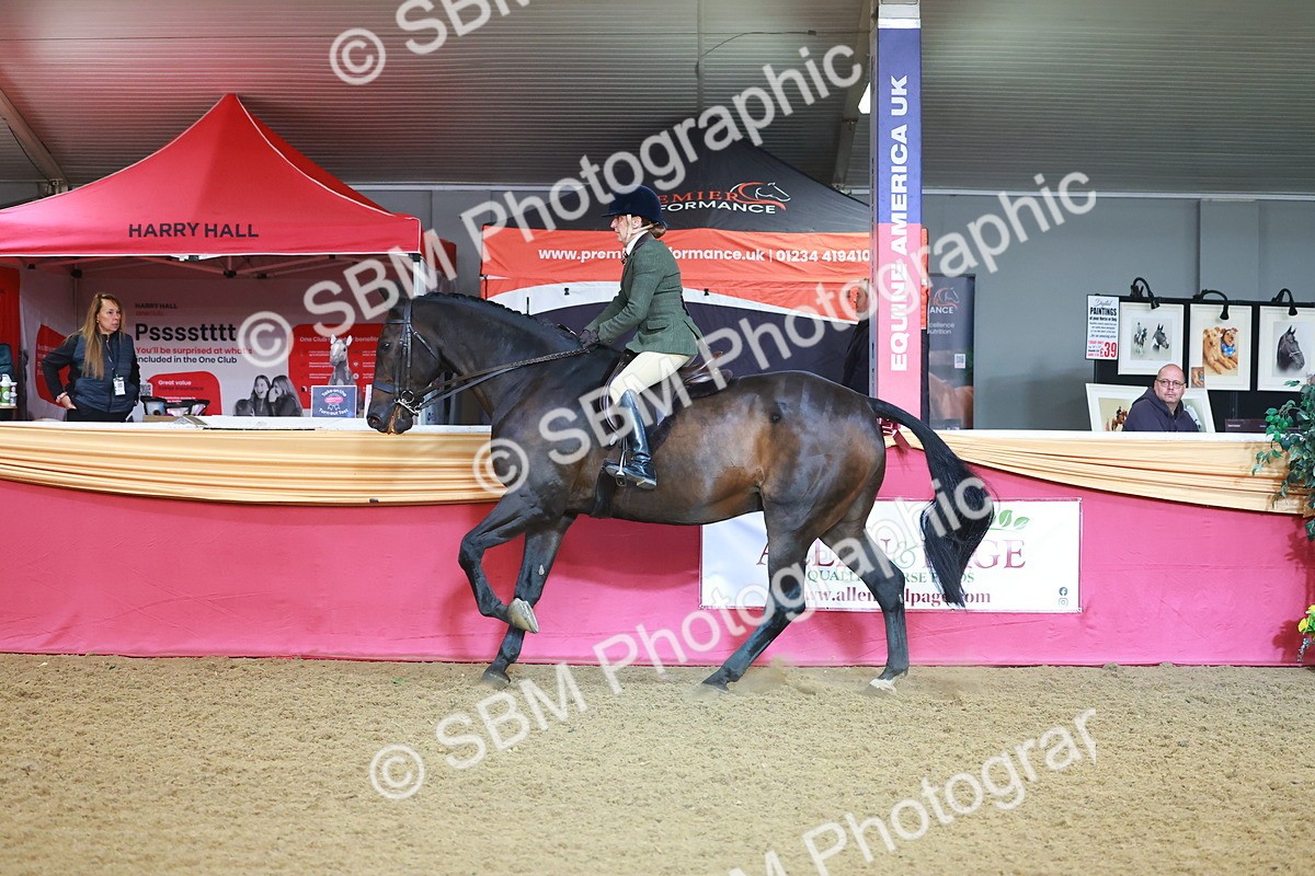 SBM_07636 - Class 101 - HOYS Veteran Qualifier - Ridden Diamond